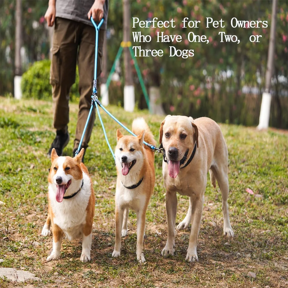 3 in 1 Durable Nylon Dog Leash with Padded Handle, 360 Swivel No Tangle Climbing Rope Removable Pet Traction Rope, Lead for Medium Large Dogs Blue