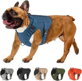 Adjustable Tactical Dog Harness & Leash Set - No-Pull MOLLE Vest with Handle, Front Leash Clip, Hook & Patch - Perfect for Small to Large Dogs (L: Neck 18"-24", Chest 28"-35"), Bermuda Blue