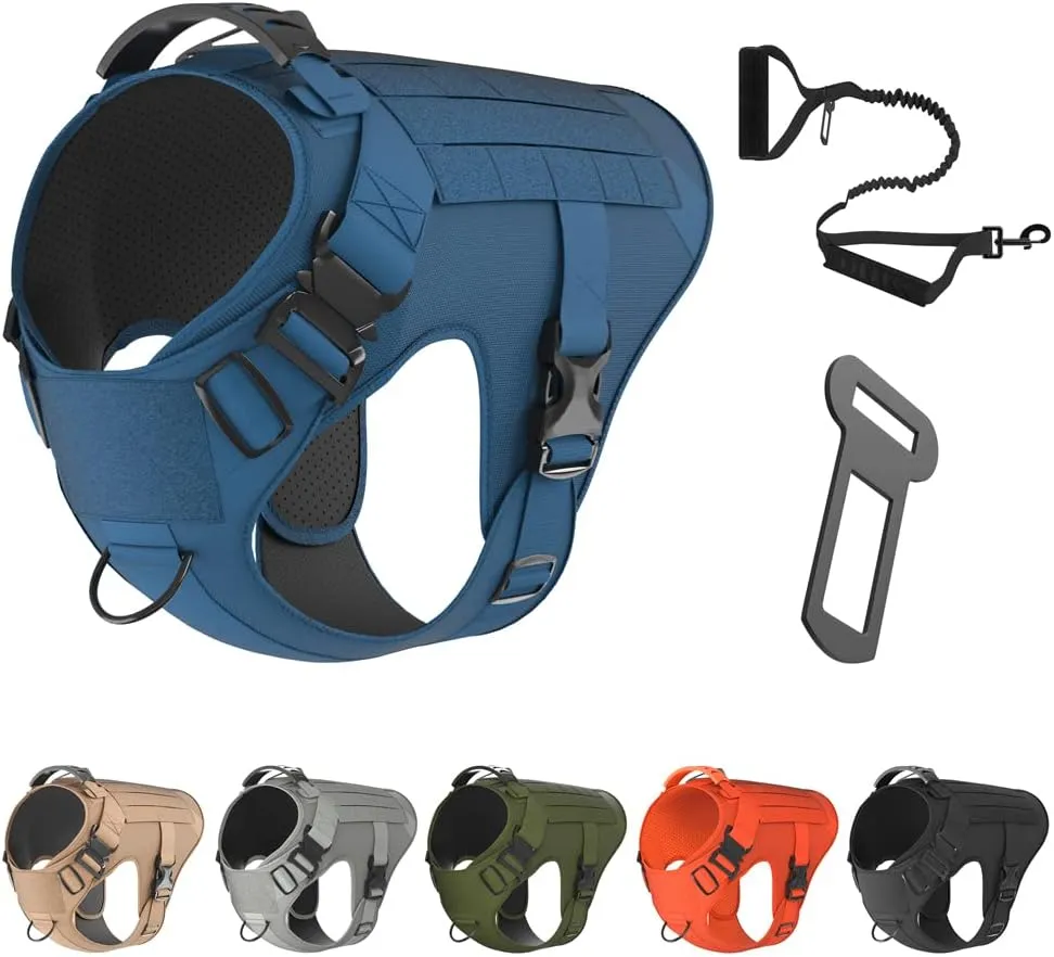 Adjustable Tactical Dog Harness & Leash Set - No-Pull MOLLE Vest with Handle, Front Leash Clip, Hook & Patch - Perfect for Small to Large Dogs (L: Neck 18"-24", Chest 28"-35"), Bermuda Blue