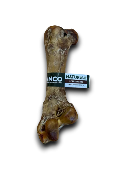Anco Naturals Ostrich Dino Bone Dog Chew