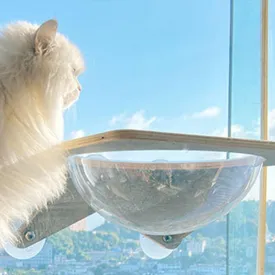 Cat Hammock Cat Wall Shelves, Foldable Cat Window Perch for Indoor Cats, Wall Mounted Cat Climbing Set, Suction Cup Large Cat Window Hammock Seat Shelf with Sturdy Metal Frame(Acrylic Space Capsule)
