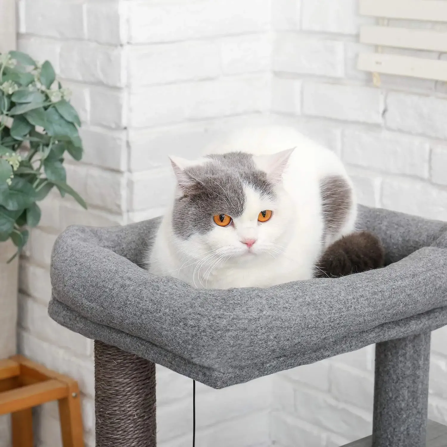 Cat Tree Deluxe 34" Cat Tower