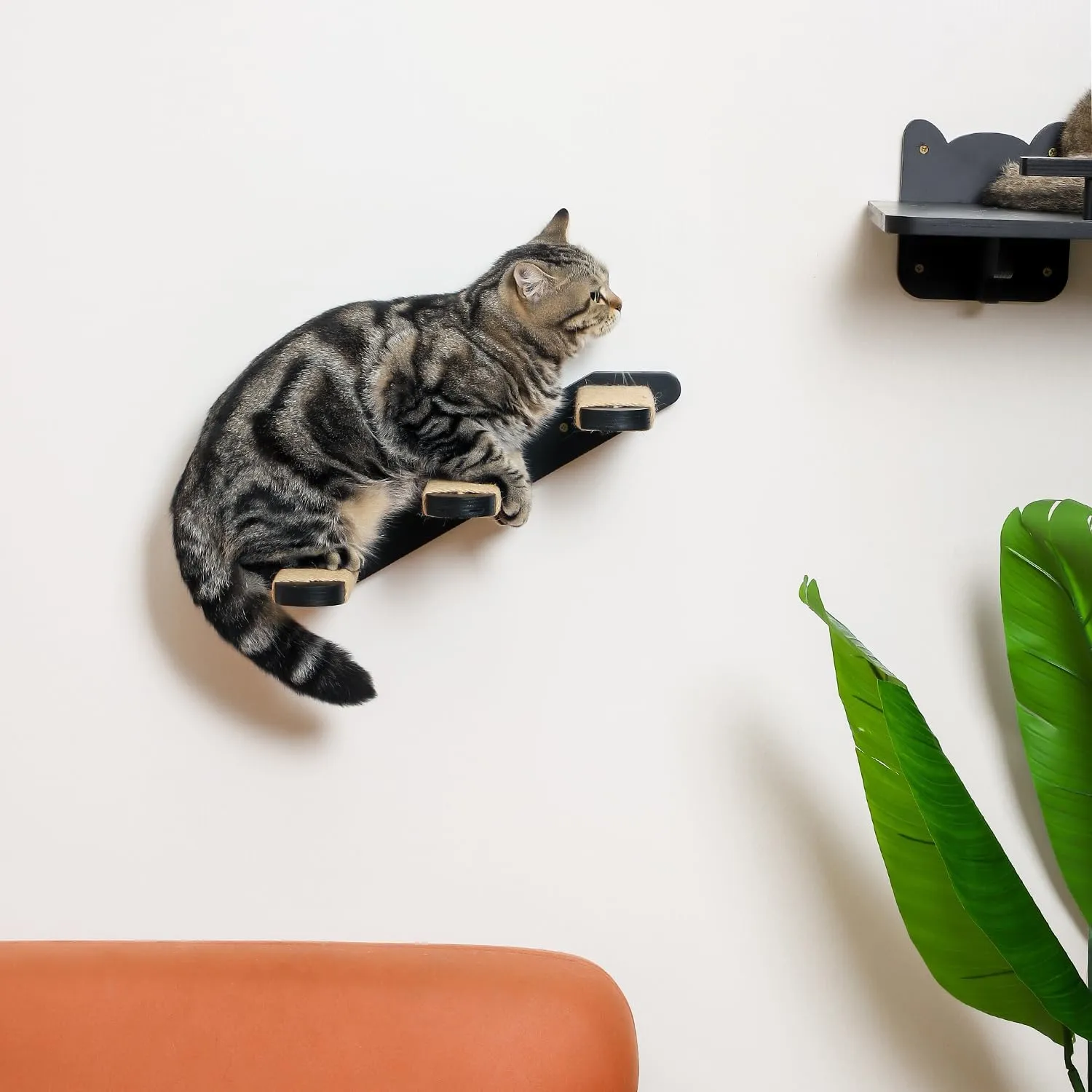 Cat Wall Steps, Cat Wall Shelves 3 Step Cat Stairway, Wood Cat Ladder Cat Steps for Wall, Cat Climbing Wall Stairs for Cats Shelves Platform Supplies(Black)