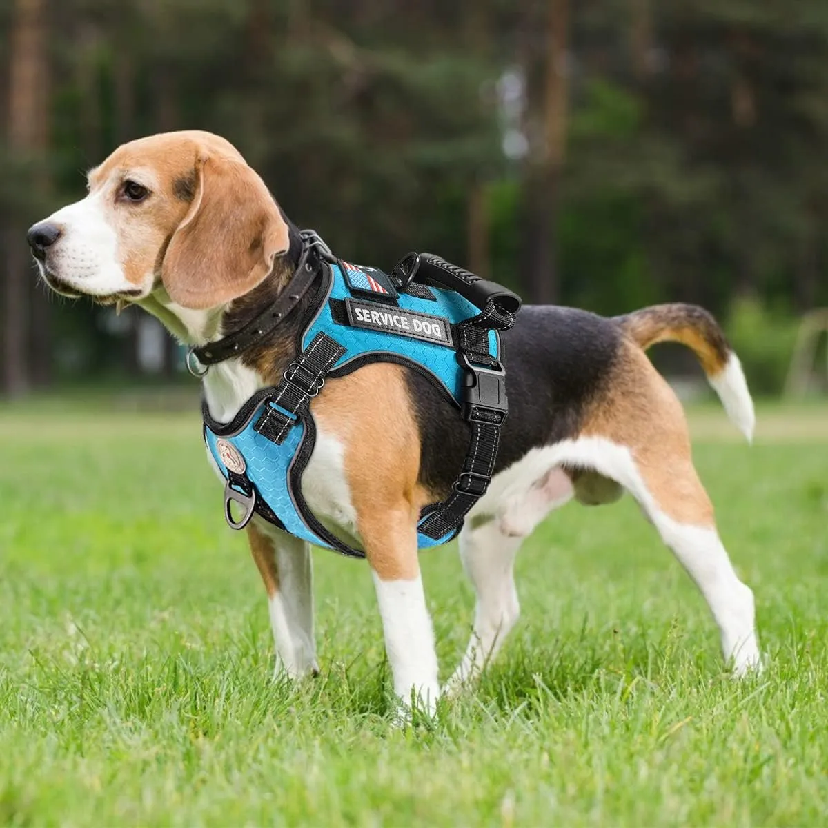 Cymiler Service Dog Vest,No-Pull Dog Harness and Leash Set,Adjustable Oxford Reflective Service Dog Vest Harness with Handle for Outdoor Walking Training,Easy Control for Small Medium Large Dogs