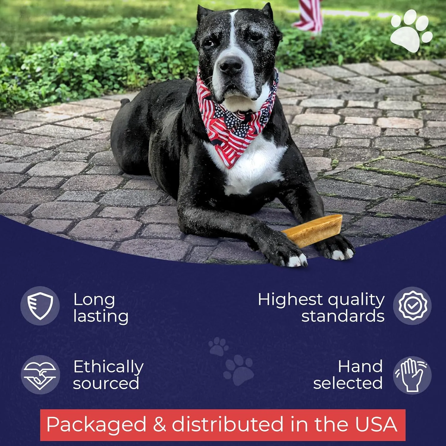 Devil Dog Pet Co. Himalayan Yak Cheese Dog Chews, Monster - 3 Pack, 100% Natural & Healthy, Lactose-Free, Long-Lasting Dog Treats, Premium Yak Milk Chew Bones for Dogs