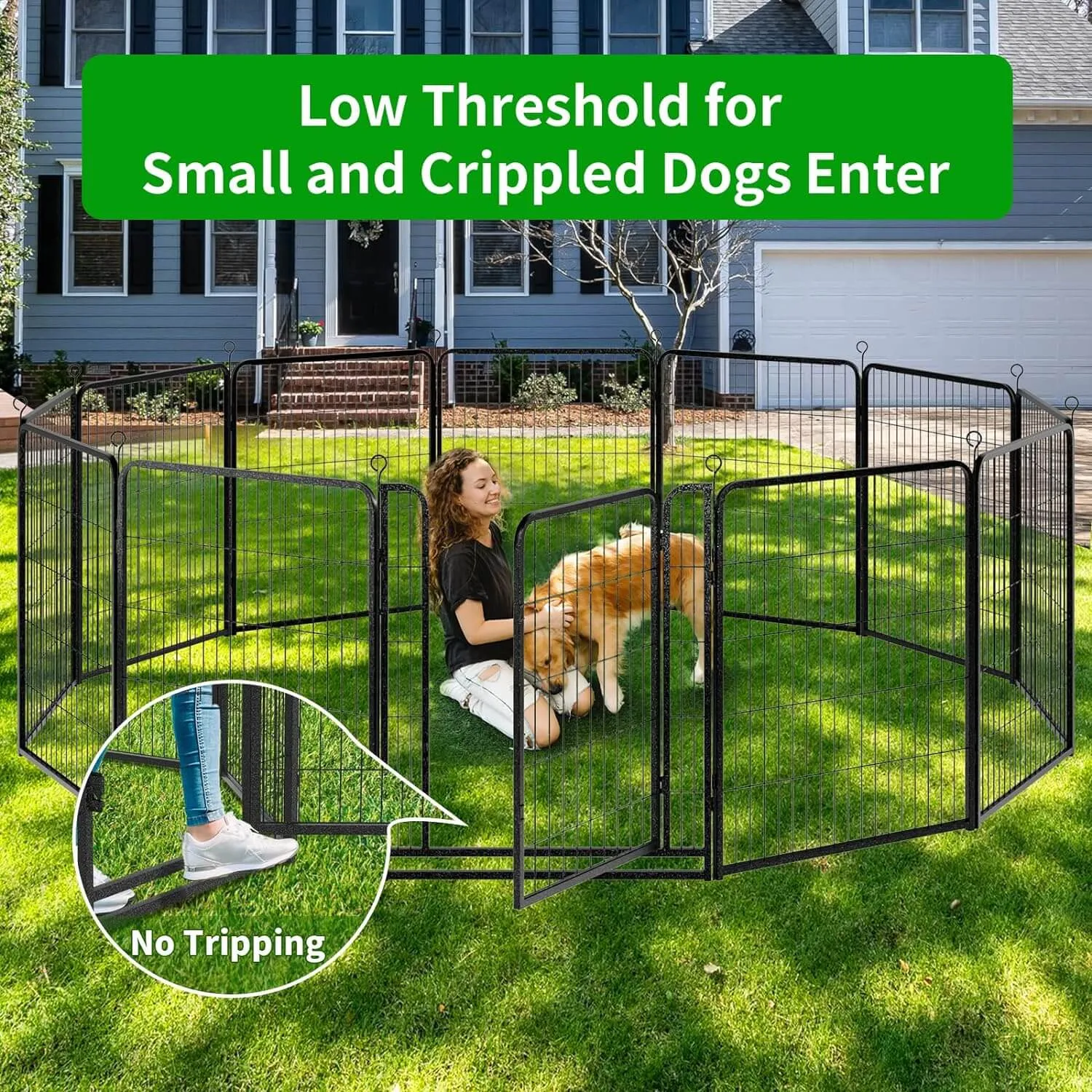 Dog Playpen Outdoor