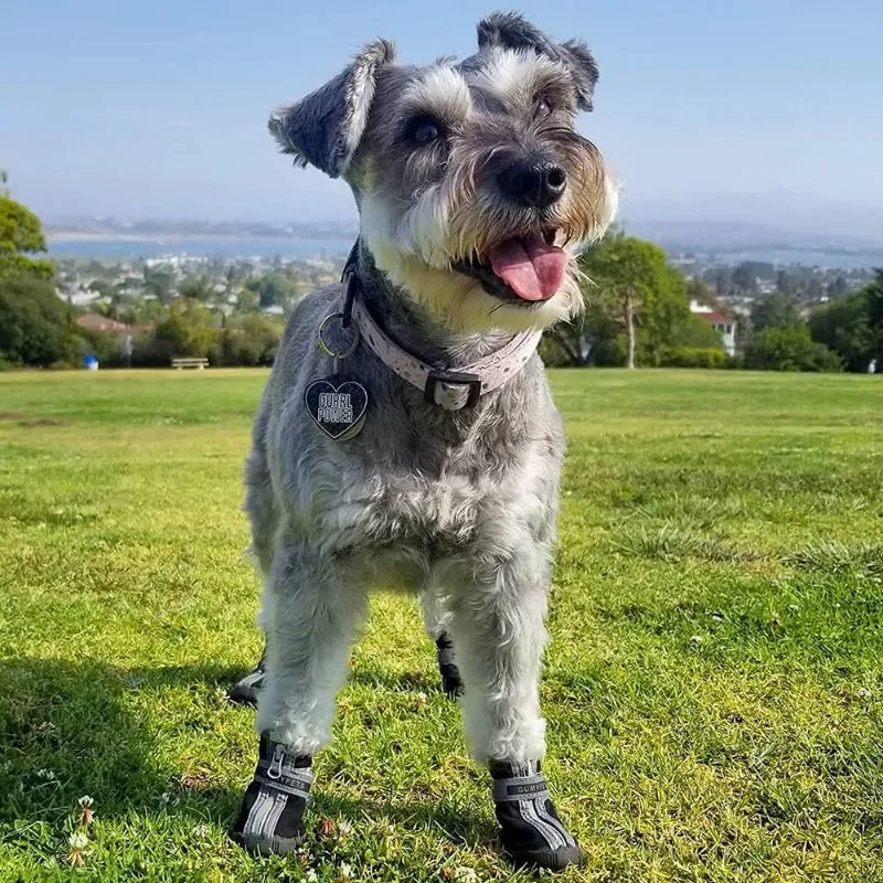 Dog Shoes, Puppy Dog Boots & Paw Protectors For Winter Snowy Day