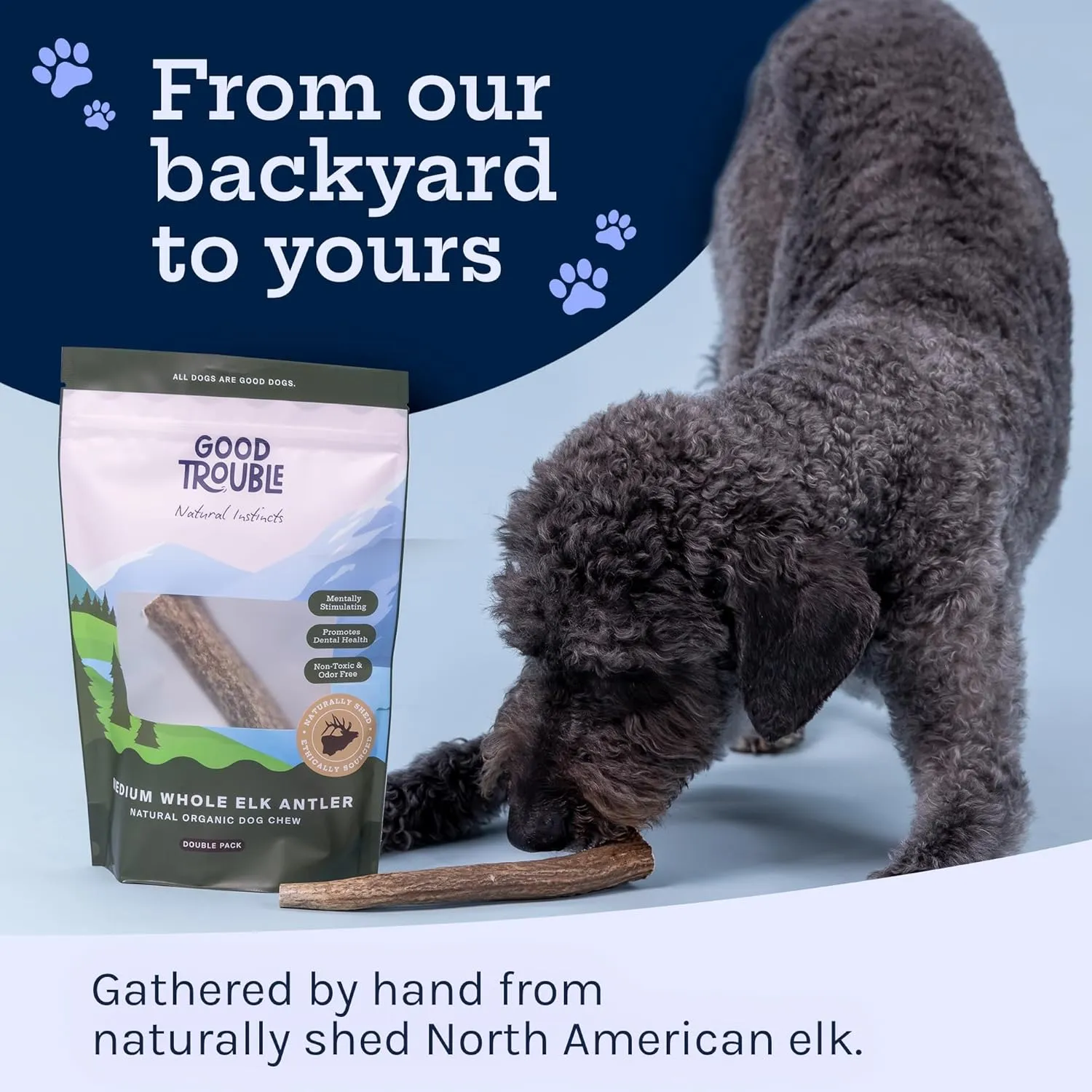 Good Trouble Premium Elk Antlers for Small Dogs  2 Pack Split Pets - All-Natural, Shed Antler Chews for Dental Health & Calming - Durable Dog Bones - Cruelty-Free, North American Sourced