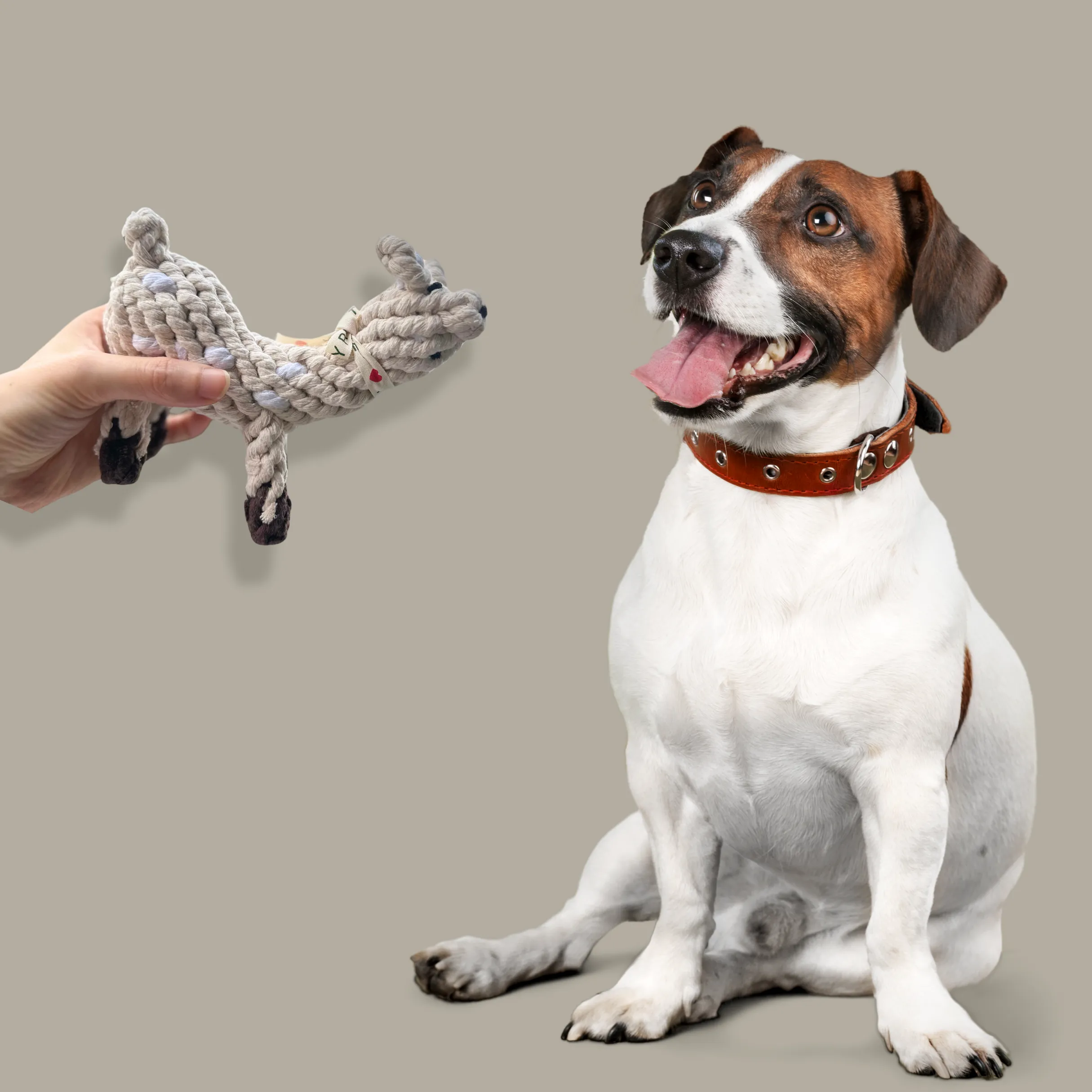 Happy Llama Dog Toy