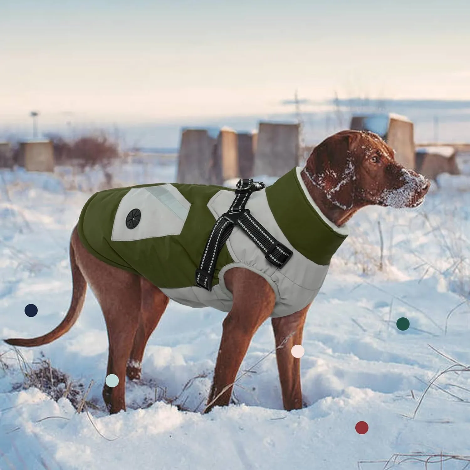 IECOii Warm Small Dog Coat Harness with D Ring -Green,Small- Zip Small Dog Jacket Winter Reflective, Fleece Lined Dog Snowsuit Snow Jacket,Pet Clothes for Small Dogs Yorkshire Terrier Bichon Shih Tzu