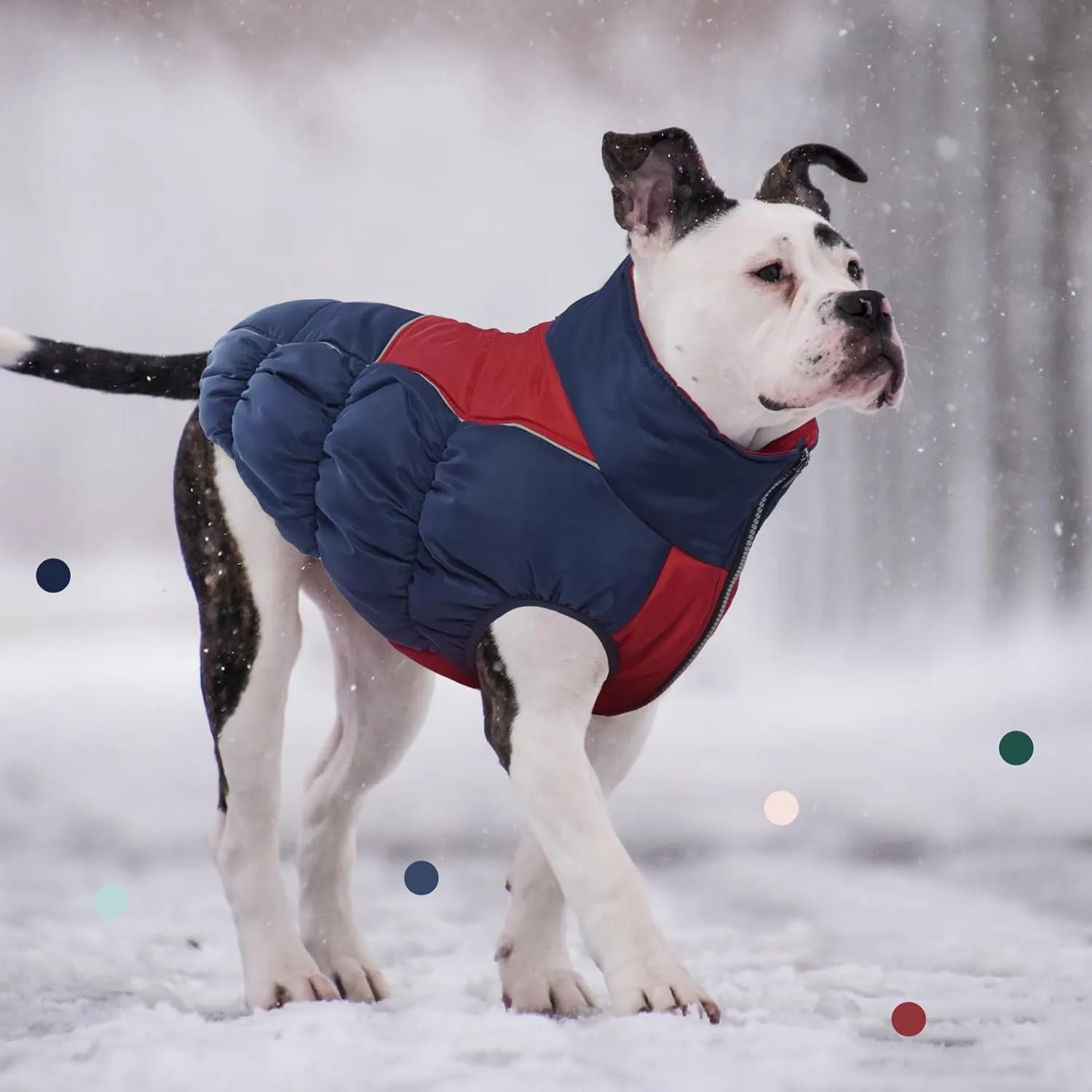 IECOii XXL Dog Snow Jacket - Extra Large Waterproof Fleece Lined Jacket with Reflective Turtleneck