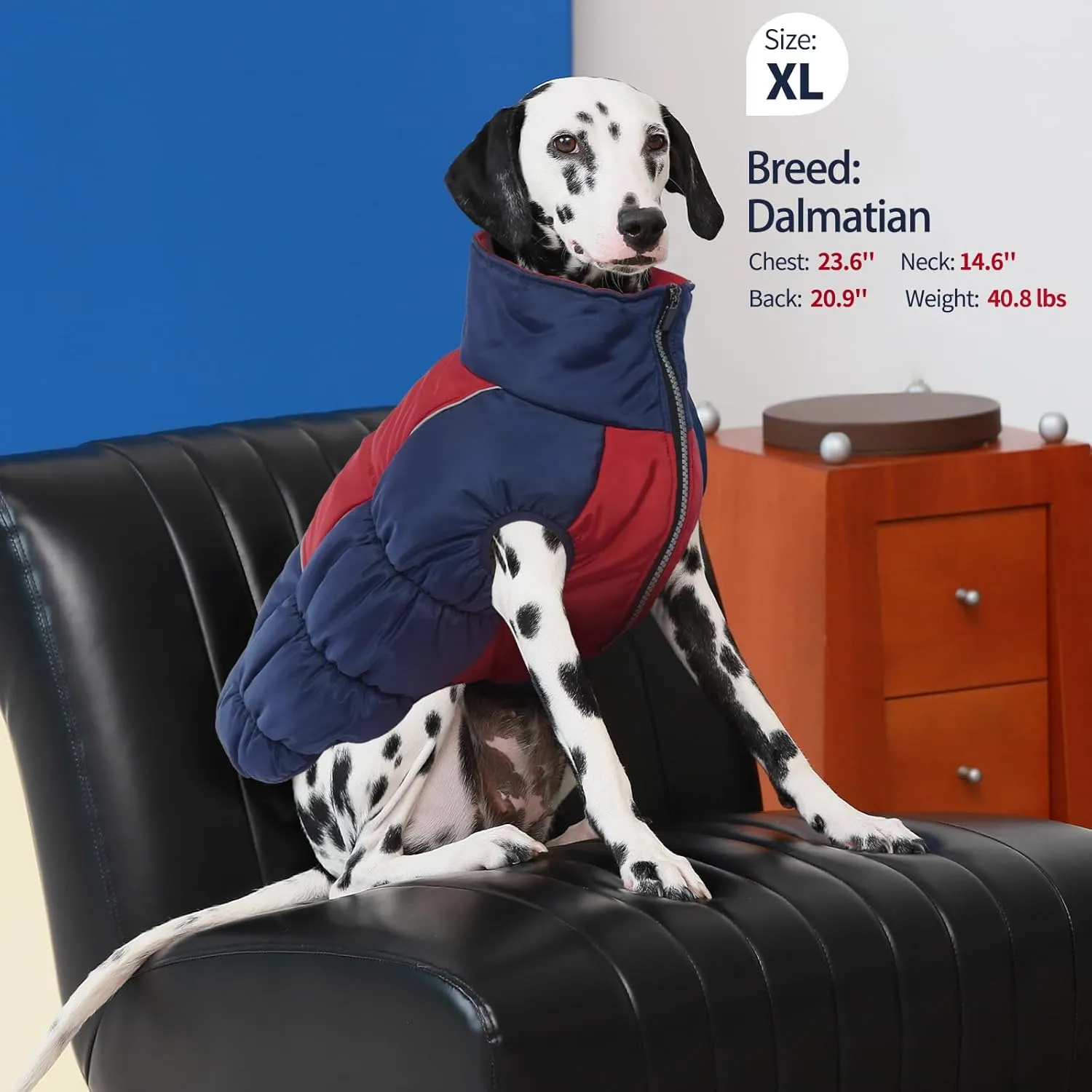 IECOii XXL Dog Snow Jacket - Extra Large Waterproof Fleece Lined Jacket with Reflective Turtleneck