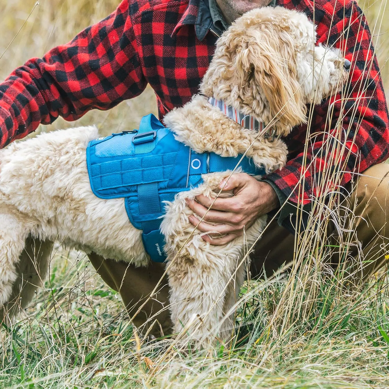 Kurgo MOLLE Clip Compatible Tactical Dog Harness, MOLLE Vest for Dogs, Service Dog Training Vest, RSG Townie Dog Harness for Small, Medium & Large Dogs (Large, Black)