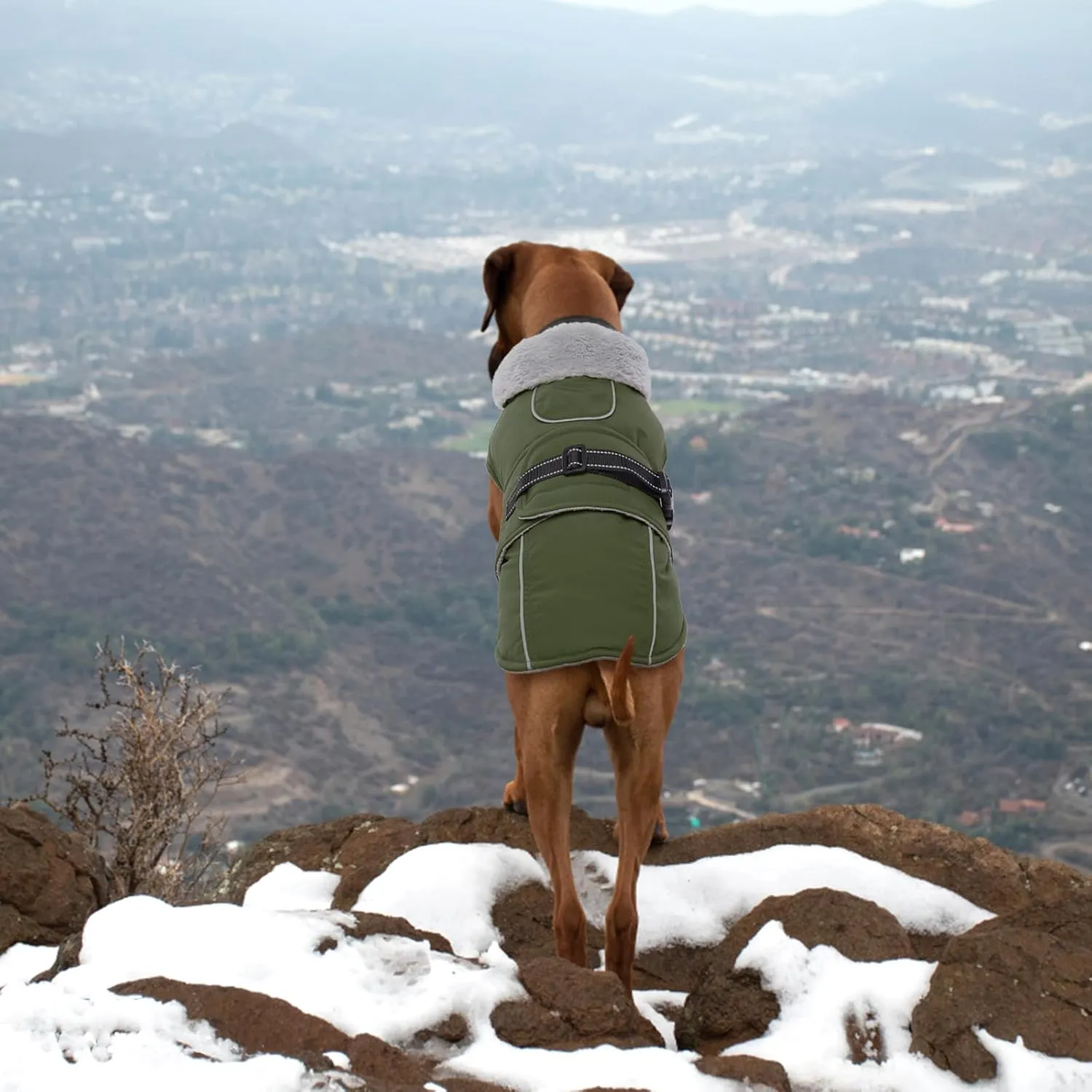 Lelepet Warm Dog Coat Reflective Fleece Vest Waterproof Dog Jacket with Adjustable Buckle Hook & Loop Windproof Cold Weather Coats for Small Medium Large Dogs, Army Green, S