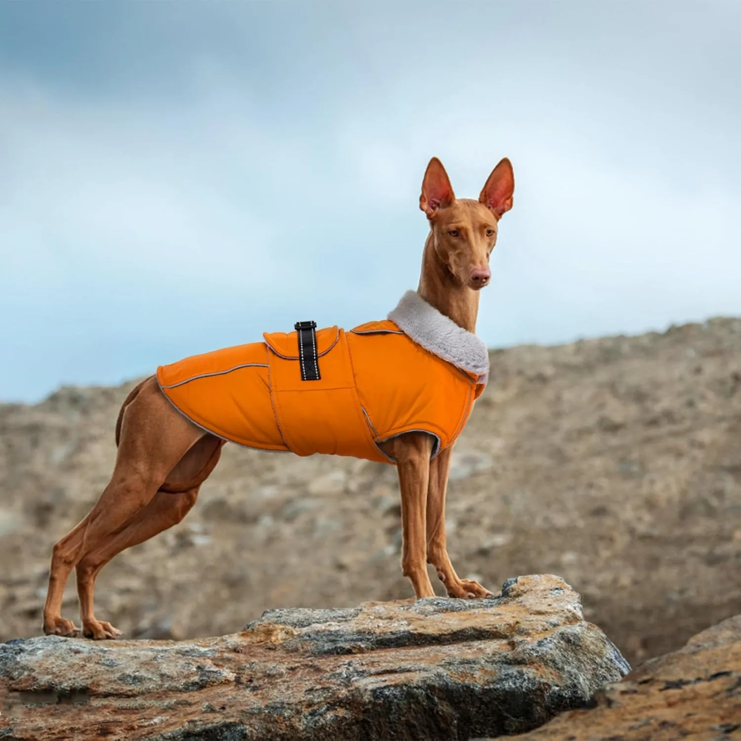 Lelepet Warm Dog Coat Reflective Fleece Vest Waterproof Dog Jacket with Adjustable Buckle Hook & Loop Windproof Cold Weather Coats for Small Medium Large Dogs, Orange, S