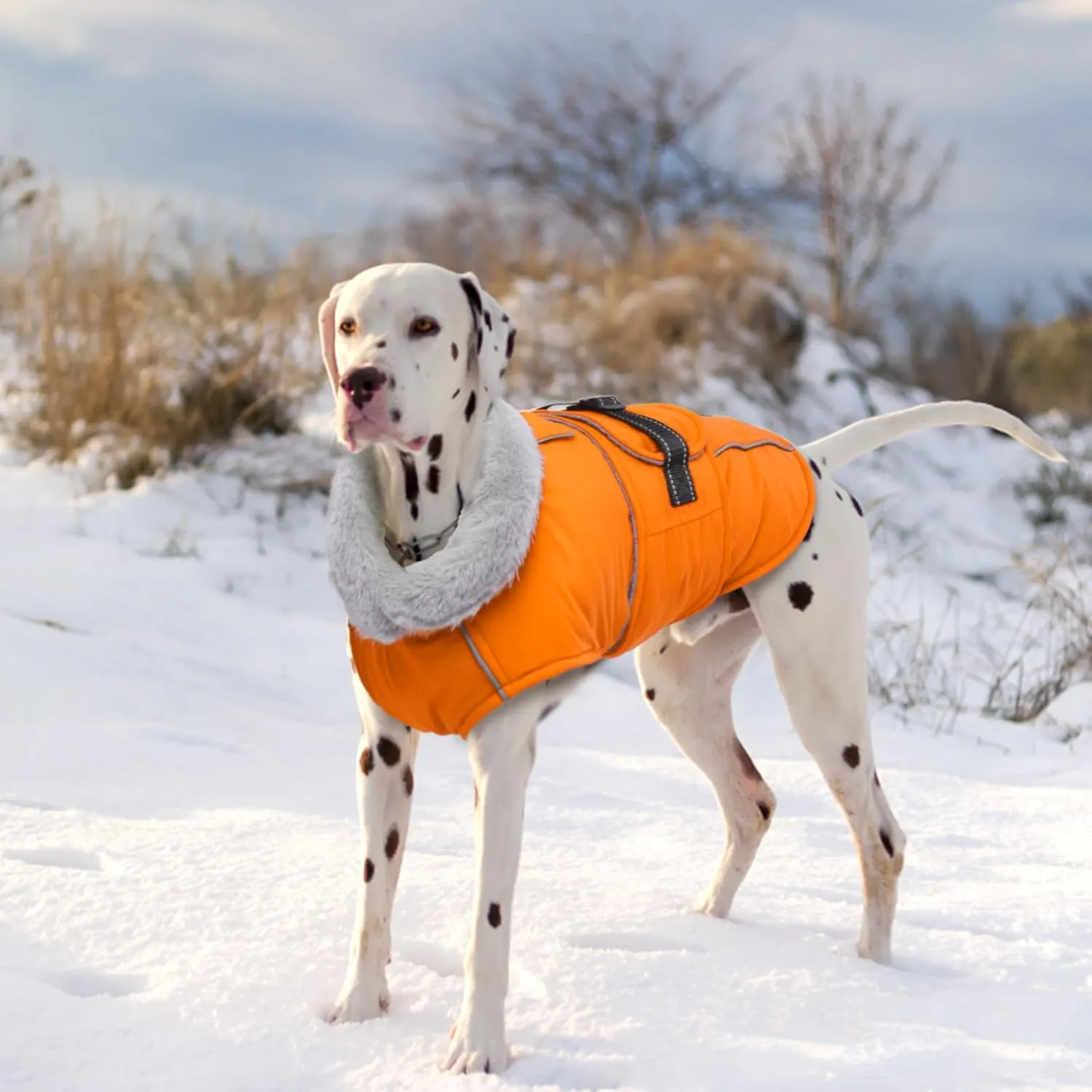 Lelepet Warm Dog Coat Reflective Fleece Vest Waterproof Dog Jacket with Adjustable Buckle Hook & Loop Windproof Cold Weather Coats for Small Medium Large Dogs, Orange, S
