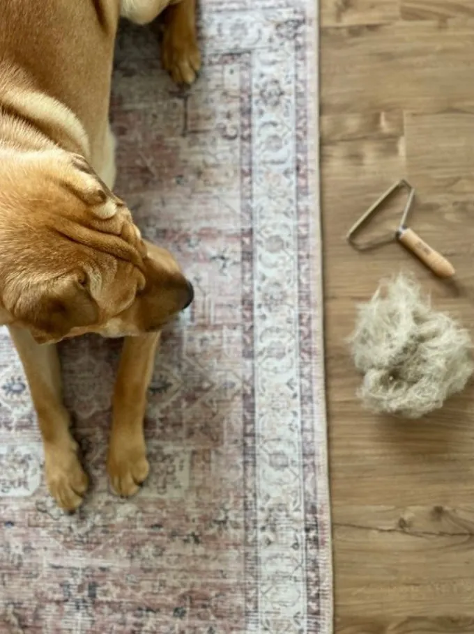Lint Remover