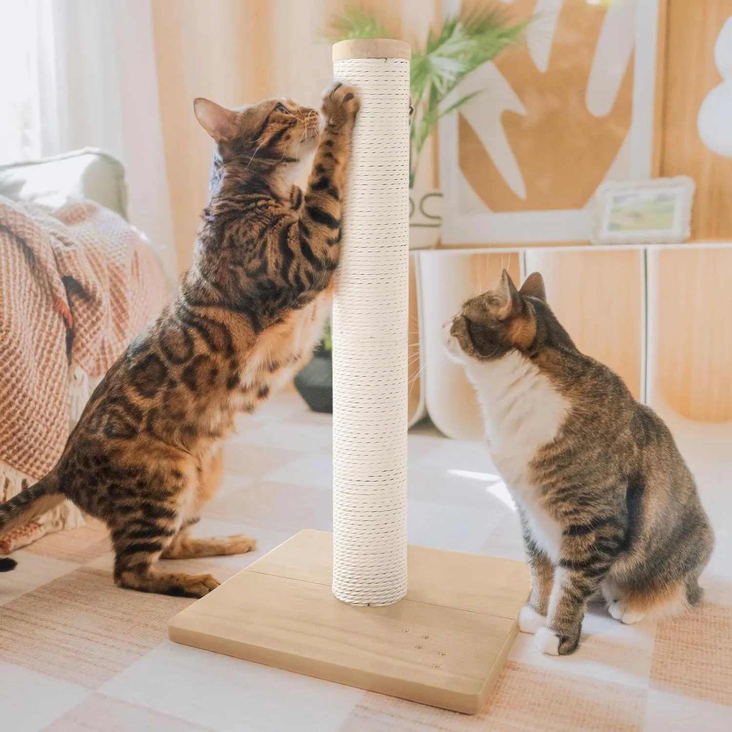 Necoichi 23.6 Tall Cat Scratching Post Kitten Scratcher Paper Rope Scratch Posts Trees with Hanging for Indoor Cats (23.6 inches for Kitty, Regular, Oak)