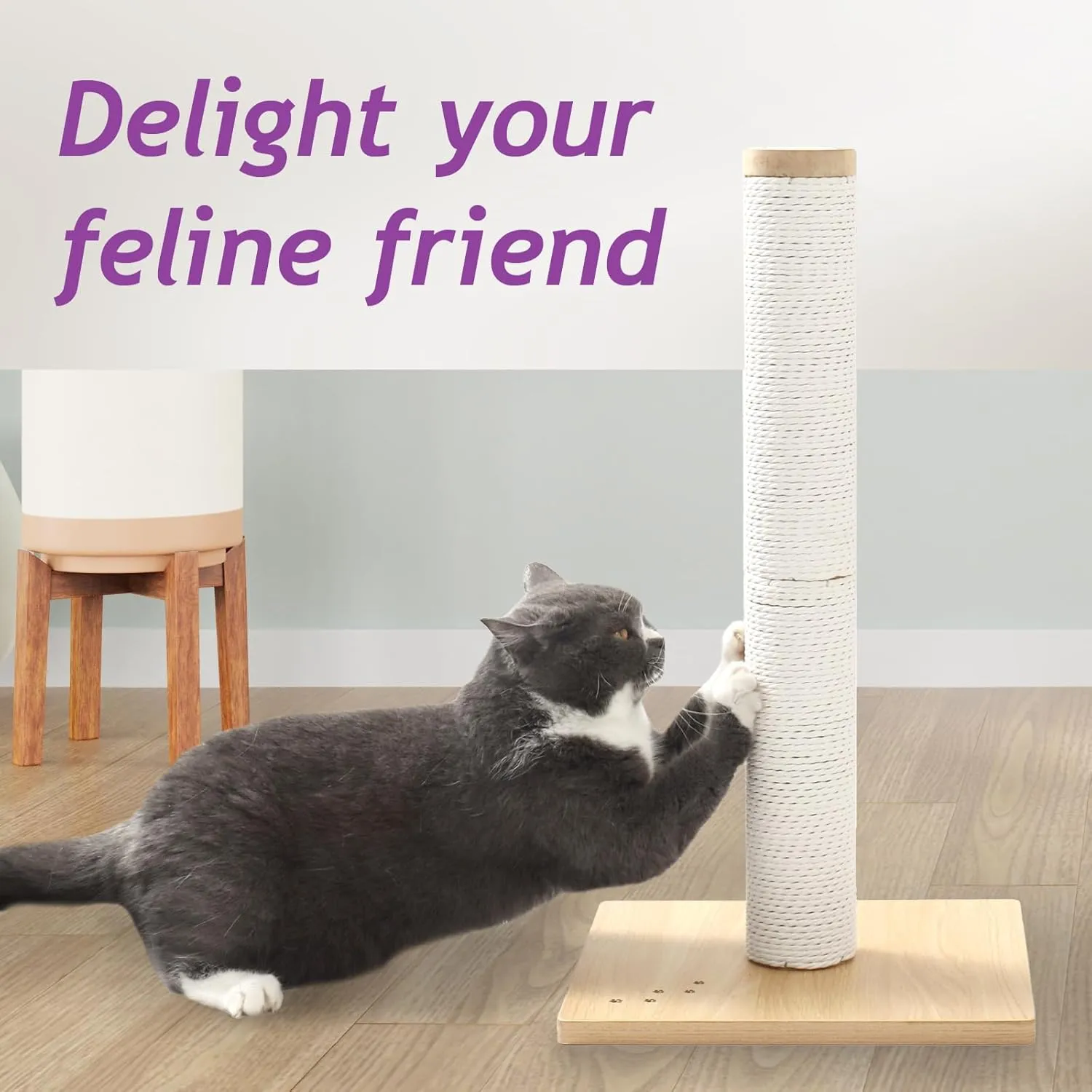 Necoichi 23.6 Tall Cat Scratching Post Kitten Scratcher Paper Rope Scratch Posts Trees with Hanging for Indoor Cats (23.6 inches for Kitty, Regular, Oak)