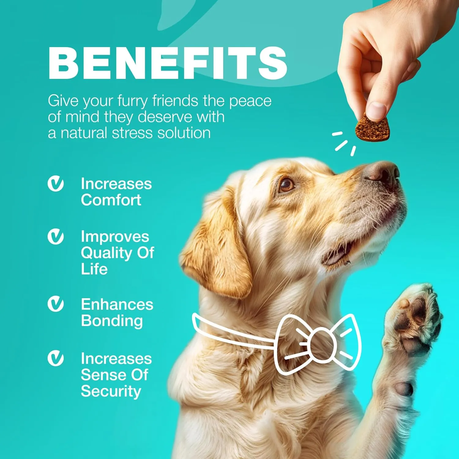 No Poo Chews for Dogs - Coprophagia Deterrent - Dog Probiotics for Digestive Health with Enzymes - Canine Stool Eating Deterrent - Digestive, Dental, Gut & Immune Health Treats - No Poop Eating