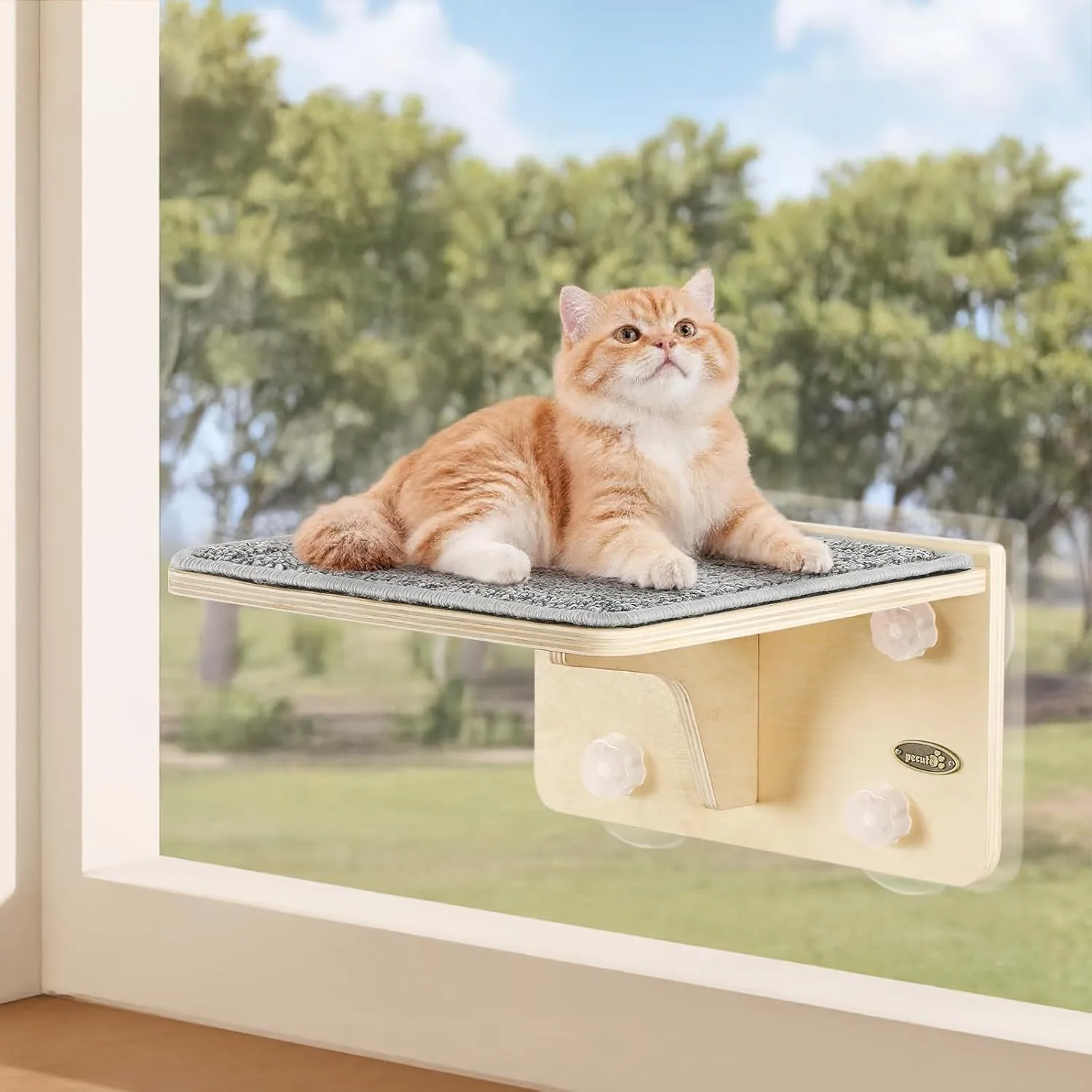 Pecute 2-in-1 Cat Window Perch & Wall Shelves - Sturdy Solid Wood Frame, 4 Large Rotating Suction Cups, Washable Carpet Cloth Cover, Space-Saving Indoor Cat Hammock Bed for Cats & Kittens Inside