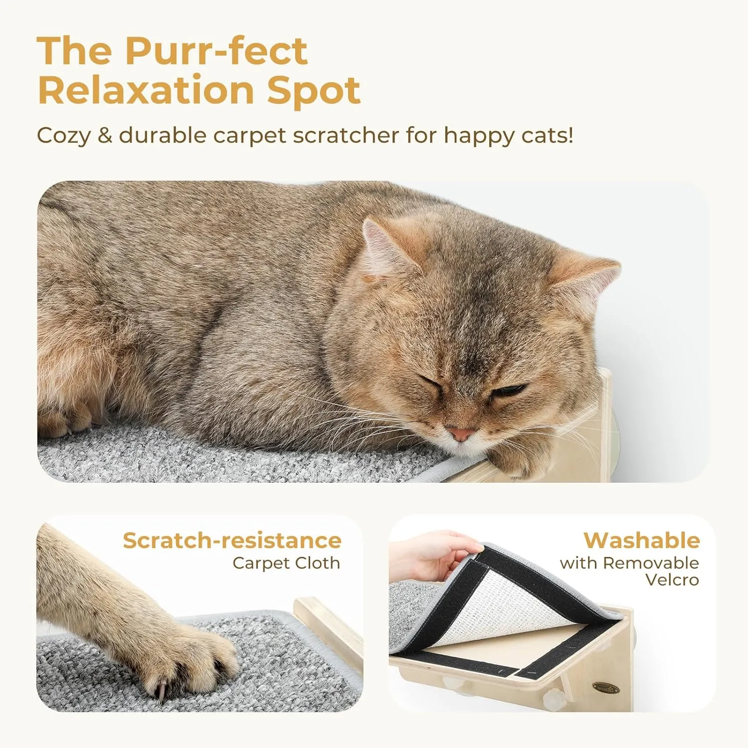 Pecute 2-in-1 Cat Window Perch & Wall Shelves - Sturdy Solid Wood Frame, 4 Large Rotating Suction Cups, Washable Carpet Cloth Cover, Space-Saving Indoor Cat Hammock Bed for Cats & Kittens Inside