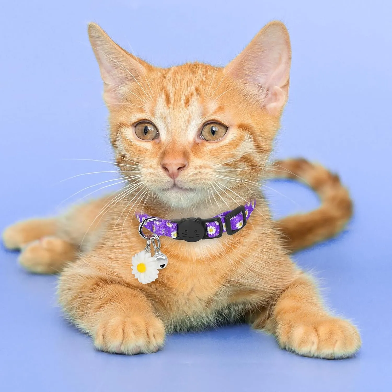 Purple Kitten Collars for Girls Cat, Floral Daisy Cat Collar Soft Cotton Breakaway Collars with Daisy Pendant, Safety Removable Kitty Collars for Female Cats Male Cats - Purple Daisy Cat Collars