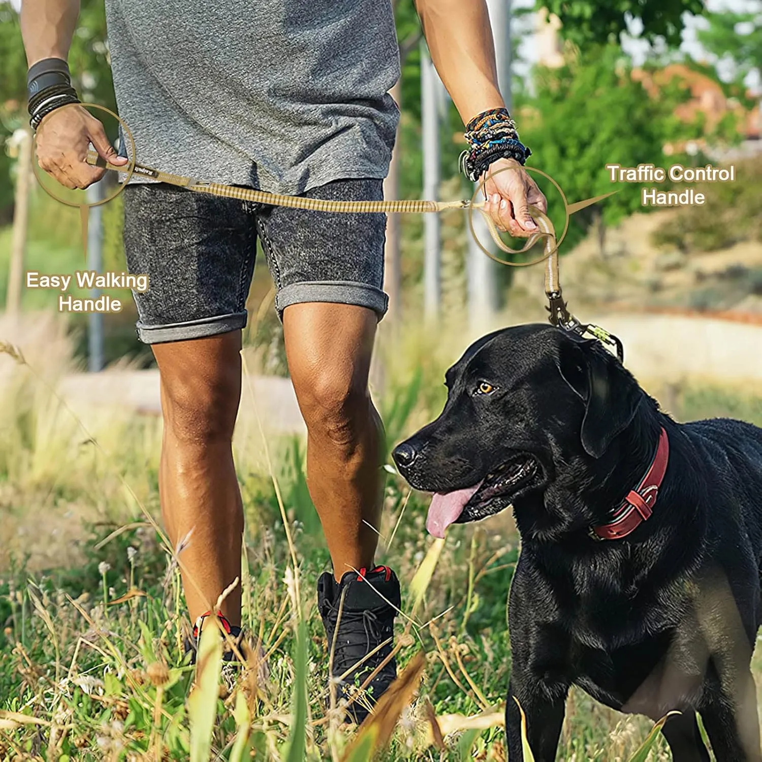 Raipult Heavy Duty Tactical Bungee Dog Leash, 4-6FT No Pull Leash with Quick Release Carabiner, Reflective Shock Absorbing Lead with Car Seatbelt for Medium Large Dogs,Khaki