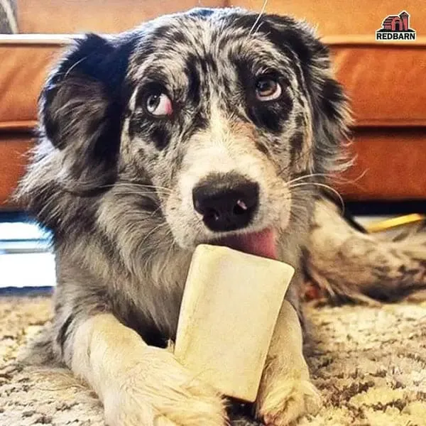 Redbarn Pet Products Filled Bone Natural Peanut Butter Dog Treat
