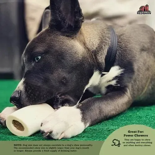 Redbarn Pet Products Filled Bone Natural Peanut Butter Dog Treat