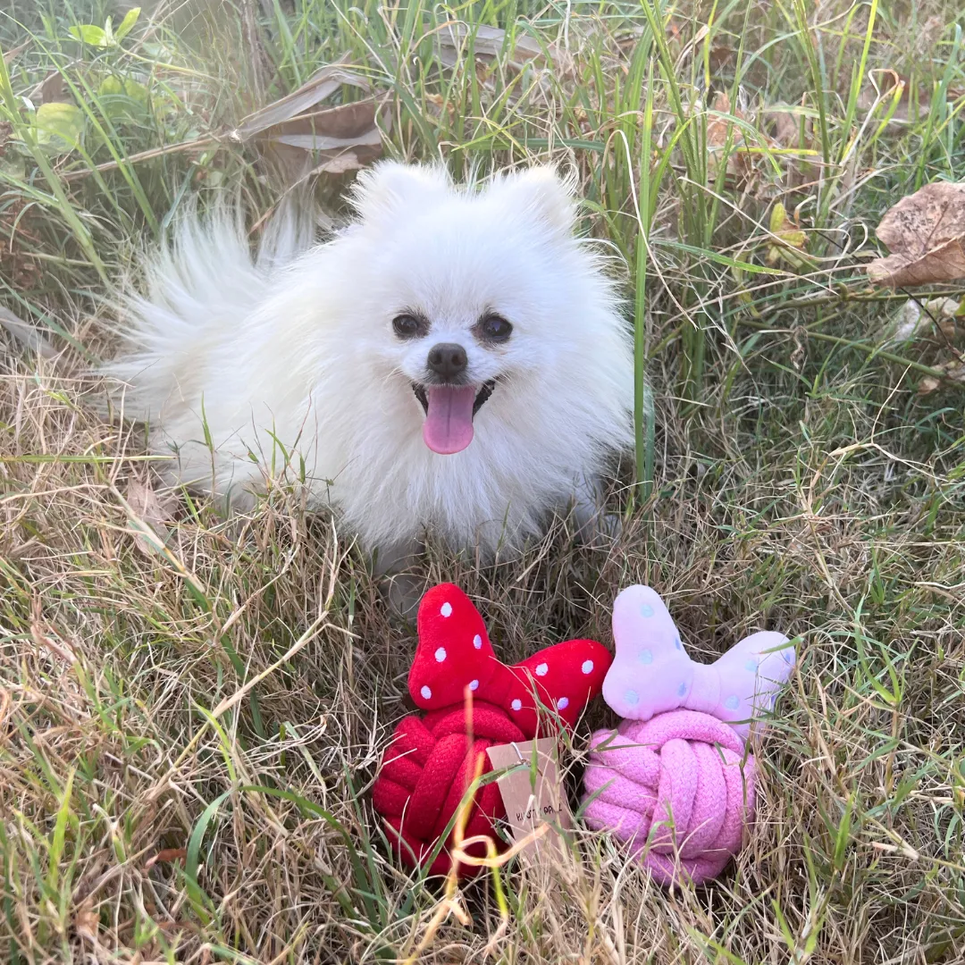 Rosey & Minnie Rope Ball Toys