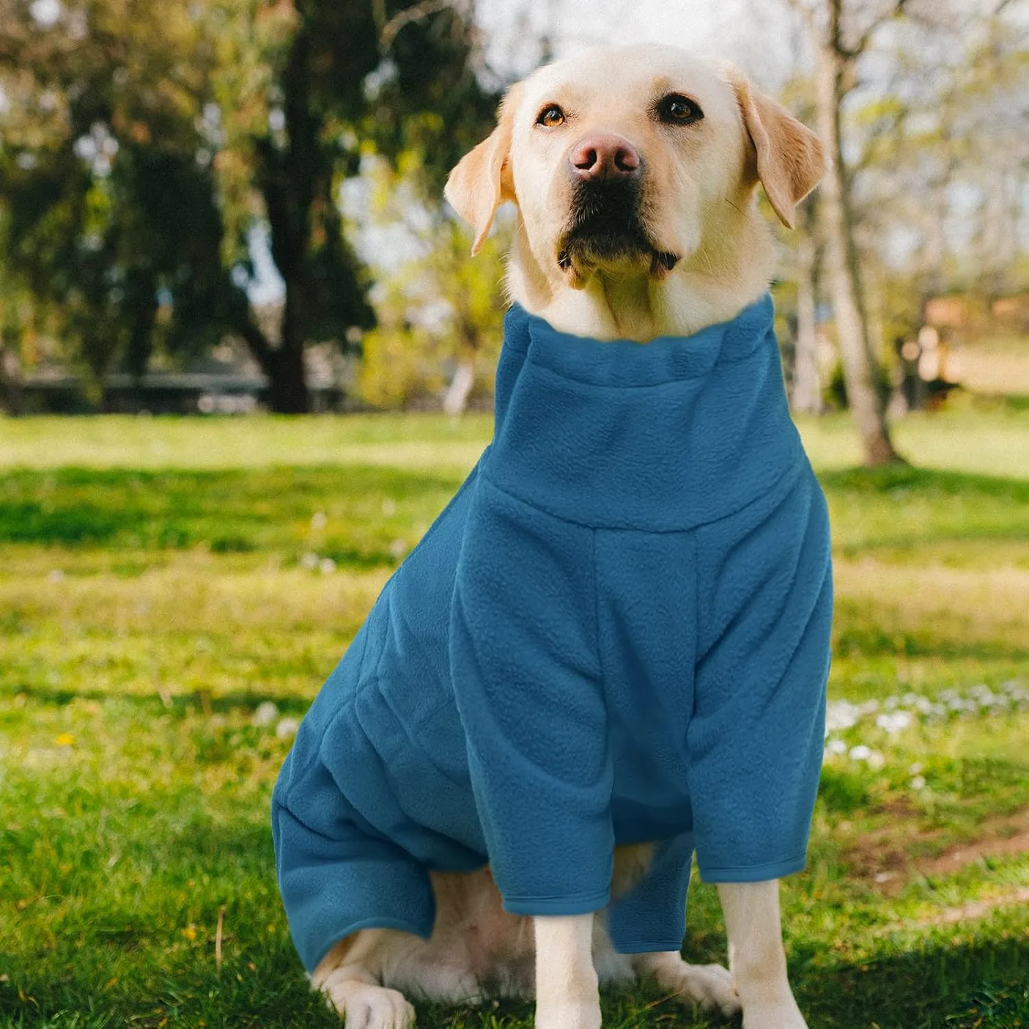 ROZKITCH Dog Winter Coat Soft Fleece Pullover Pajamas, Pet Windproof Warm Cold Weather Jacket Vest Cozy Jumpsuit Apparel Outfit Clothes for Small Medium Large Dog Walking Sleep L