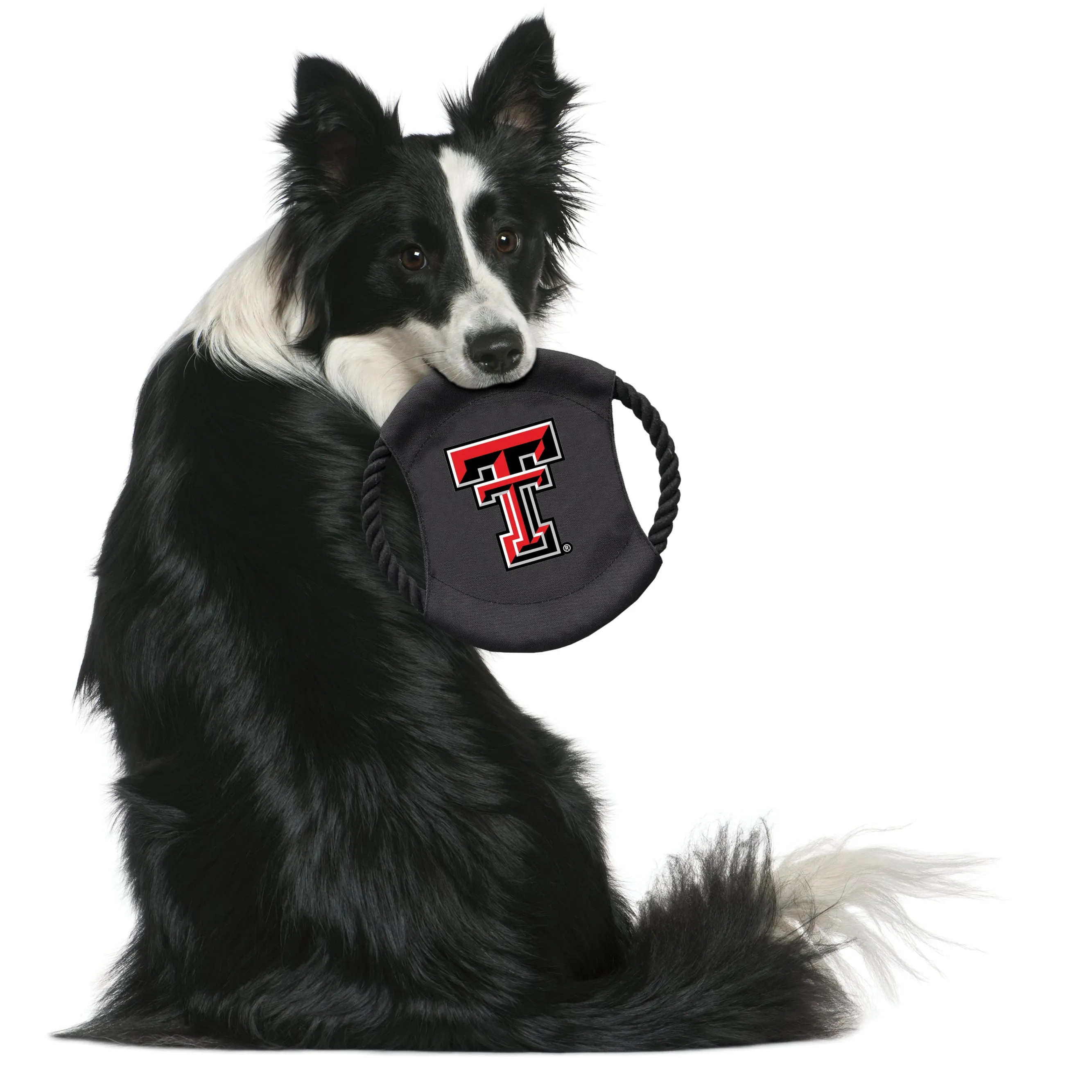 Texas Tech University Team Flying Disc Pet Toy