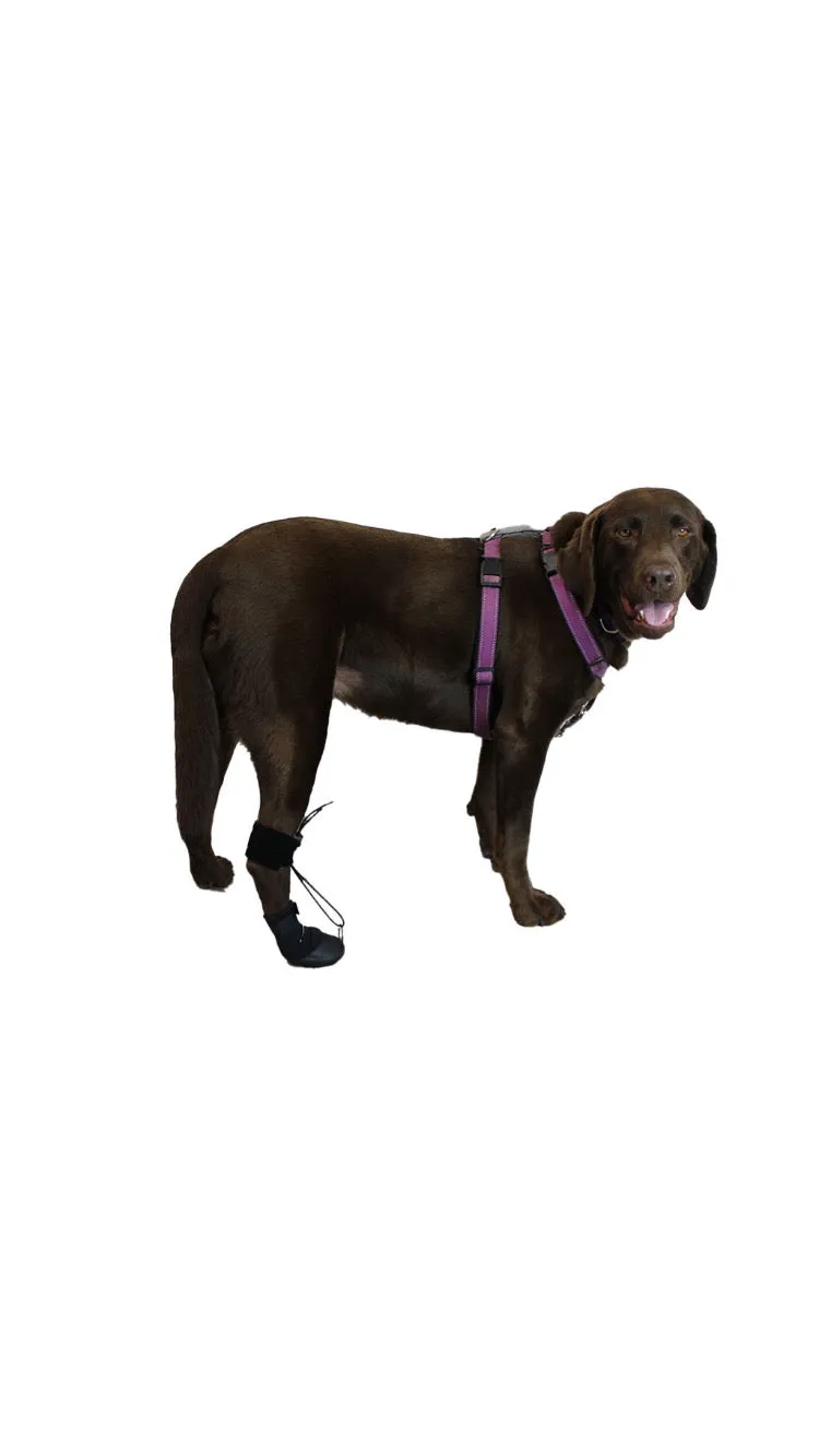 The Original ToesUP Anti-Knuckling Aid™