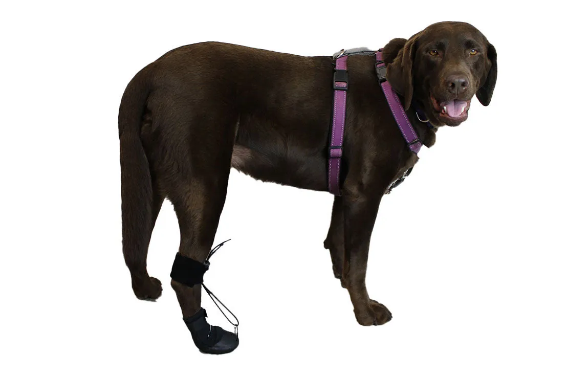 The Original ToesUP Anti-Knuckling Aid™