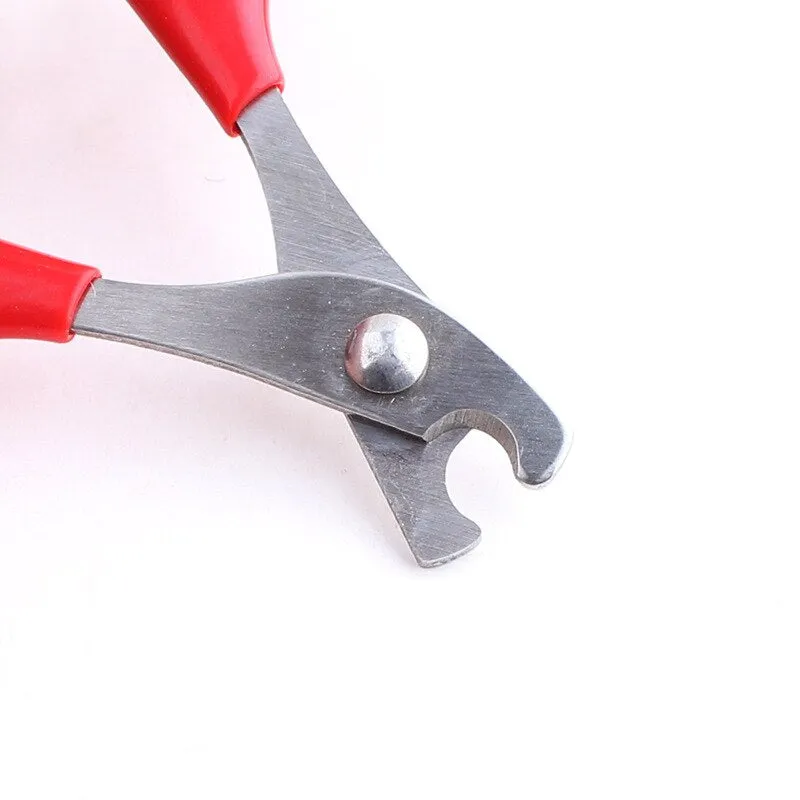Toe Care Nail For Dogs