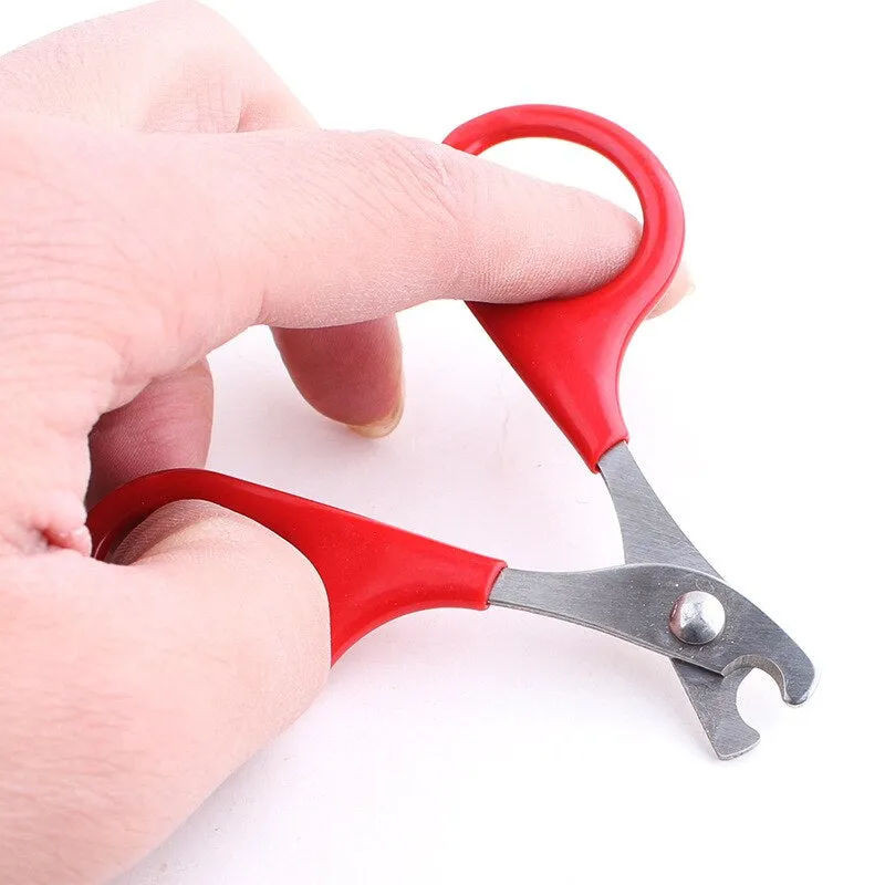 Toe Care Nail For Dogs