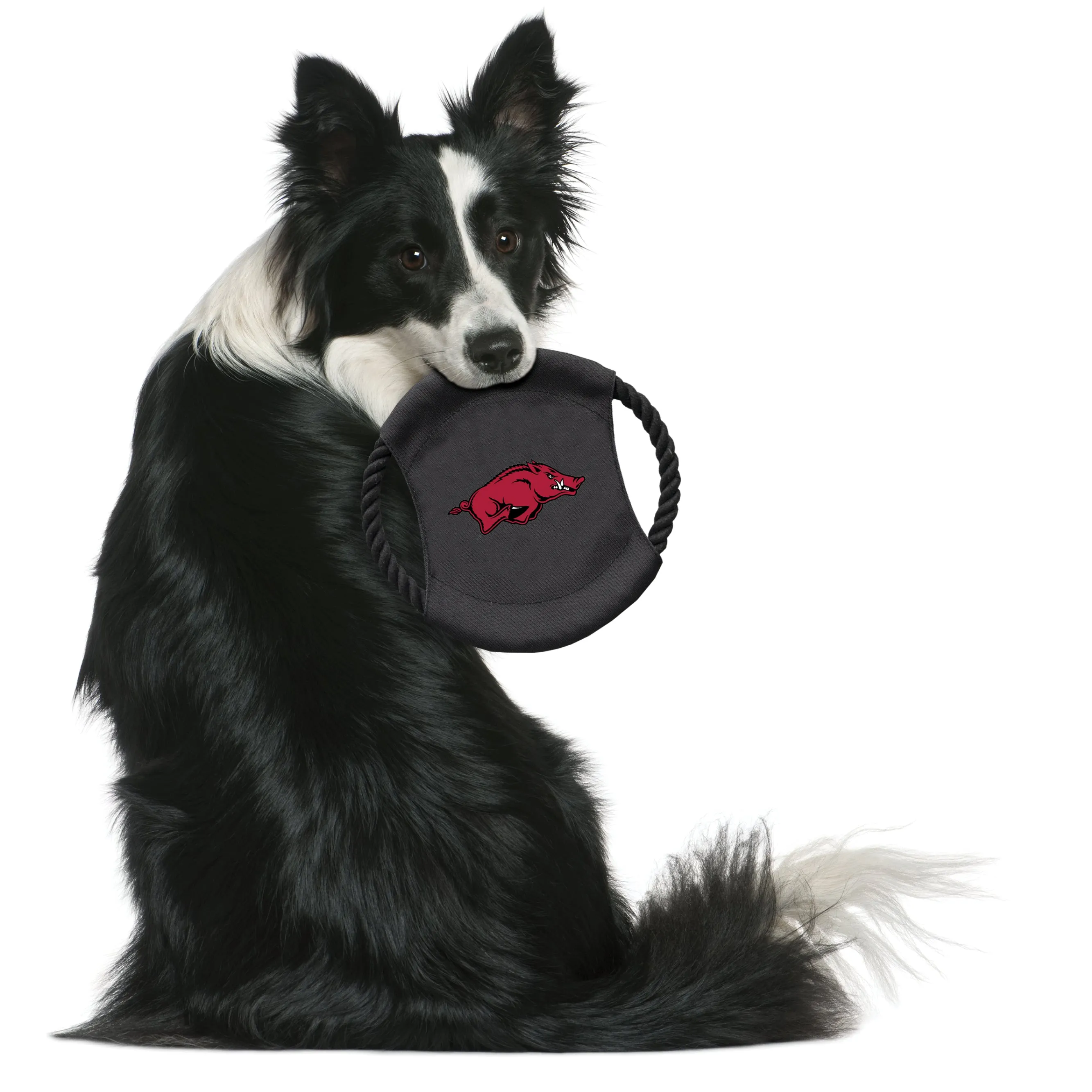 University of Arkansas Team Flying Disc Pet Toy