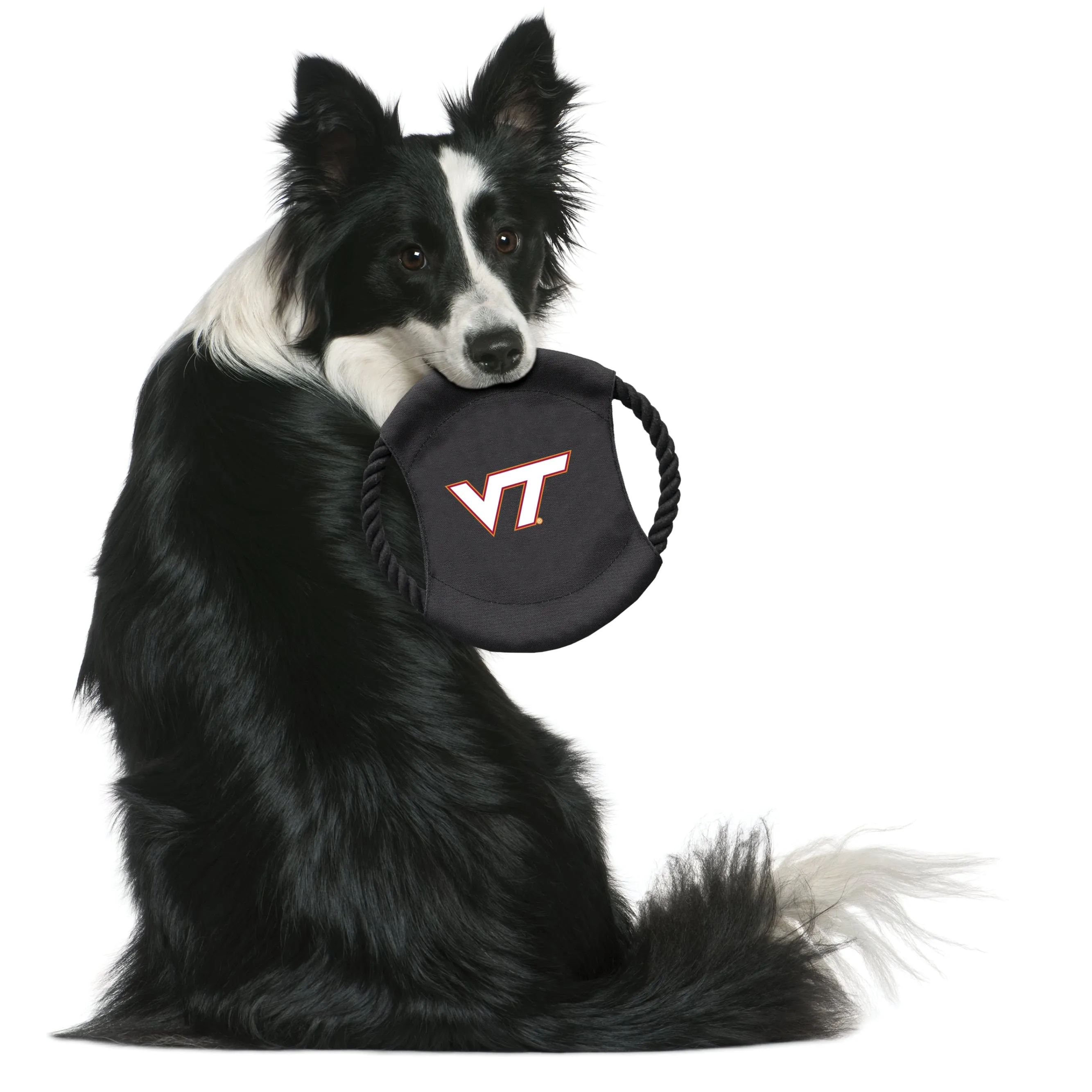 Virginia Tech Team Flying Disc Pet Toy