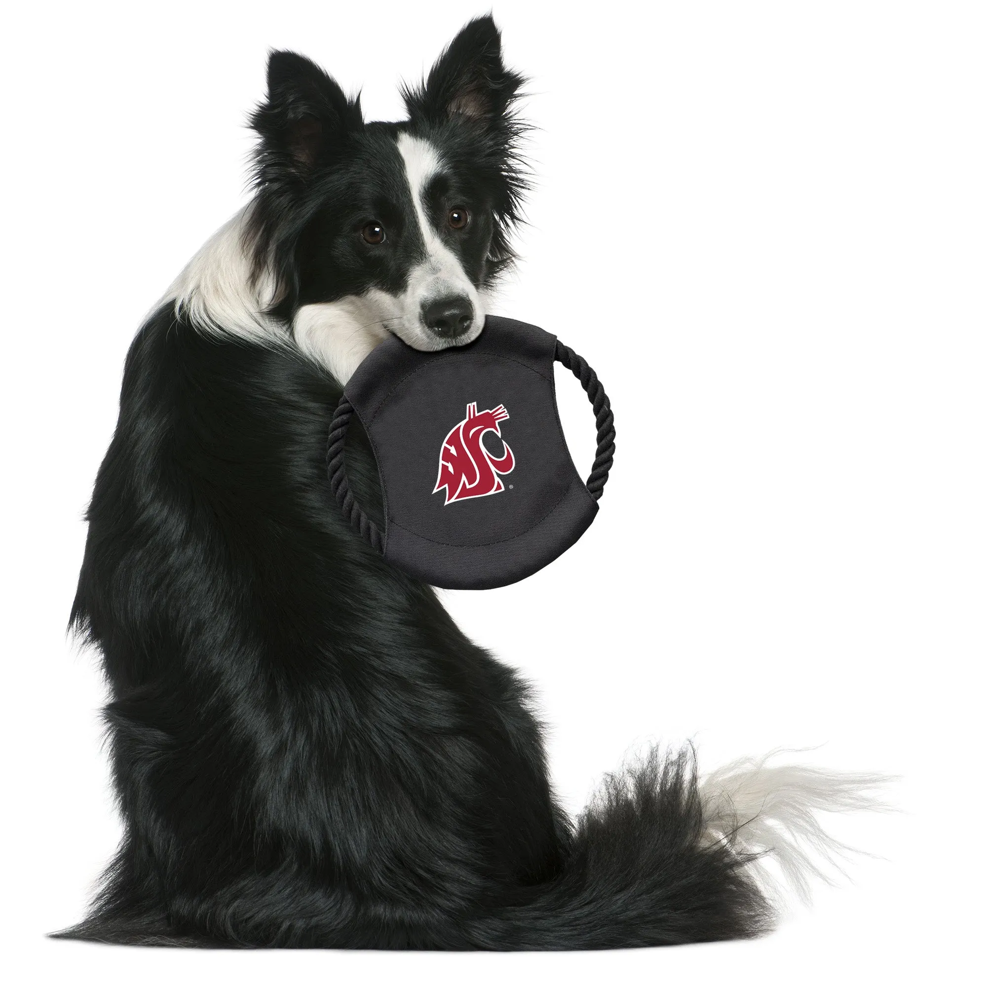 Washington State University Team Flying Disc Pet Toy