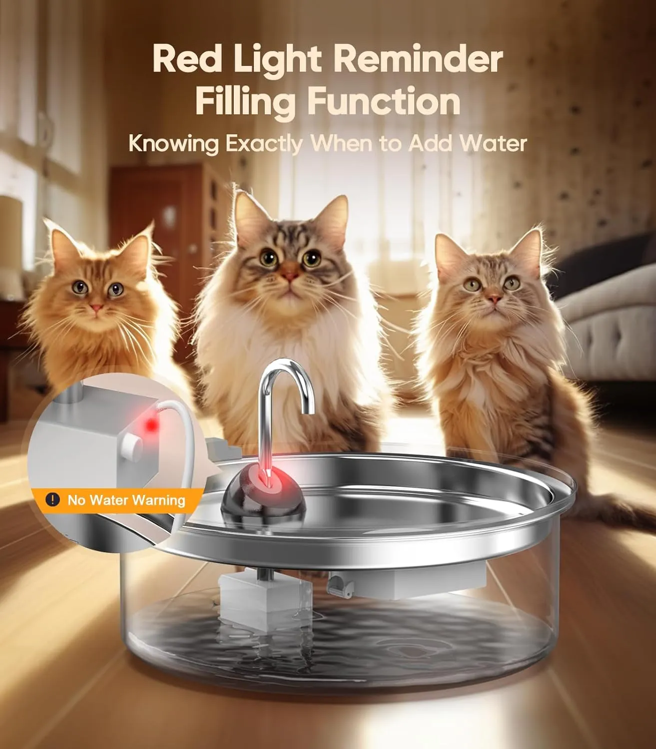 Water Fountain for Multi-Cat Home
