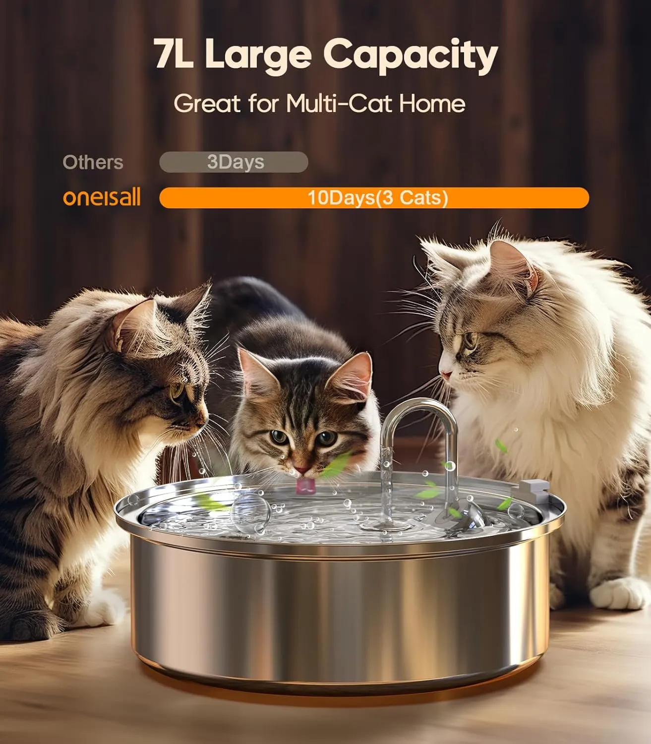 Water Fountain for Multi-Cat Home