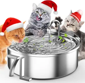 Water Fountain for Multi-Cat Home